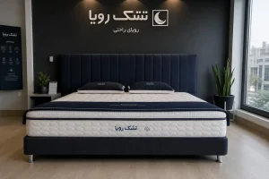 تشک رویا معیارهای انتخاب مدل مناسب خواب
